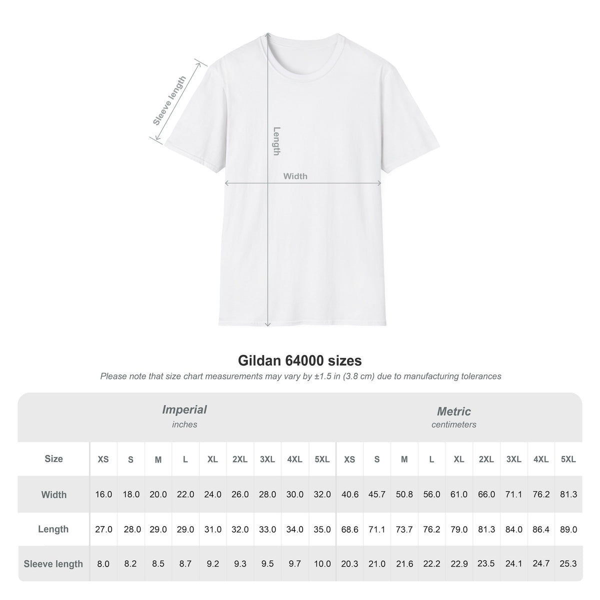 12$ Premium Cotton T-Shirt – Clean Unprinted Tee in Multiple Colors